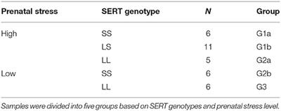 microRNAs and Gene–Environment Interactions in Autism: Effects of Prenatal Maternal Stress and the SERT Gene on Maternal microRNA Expression